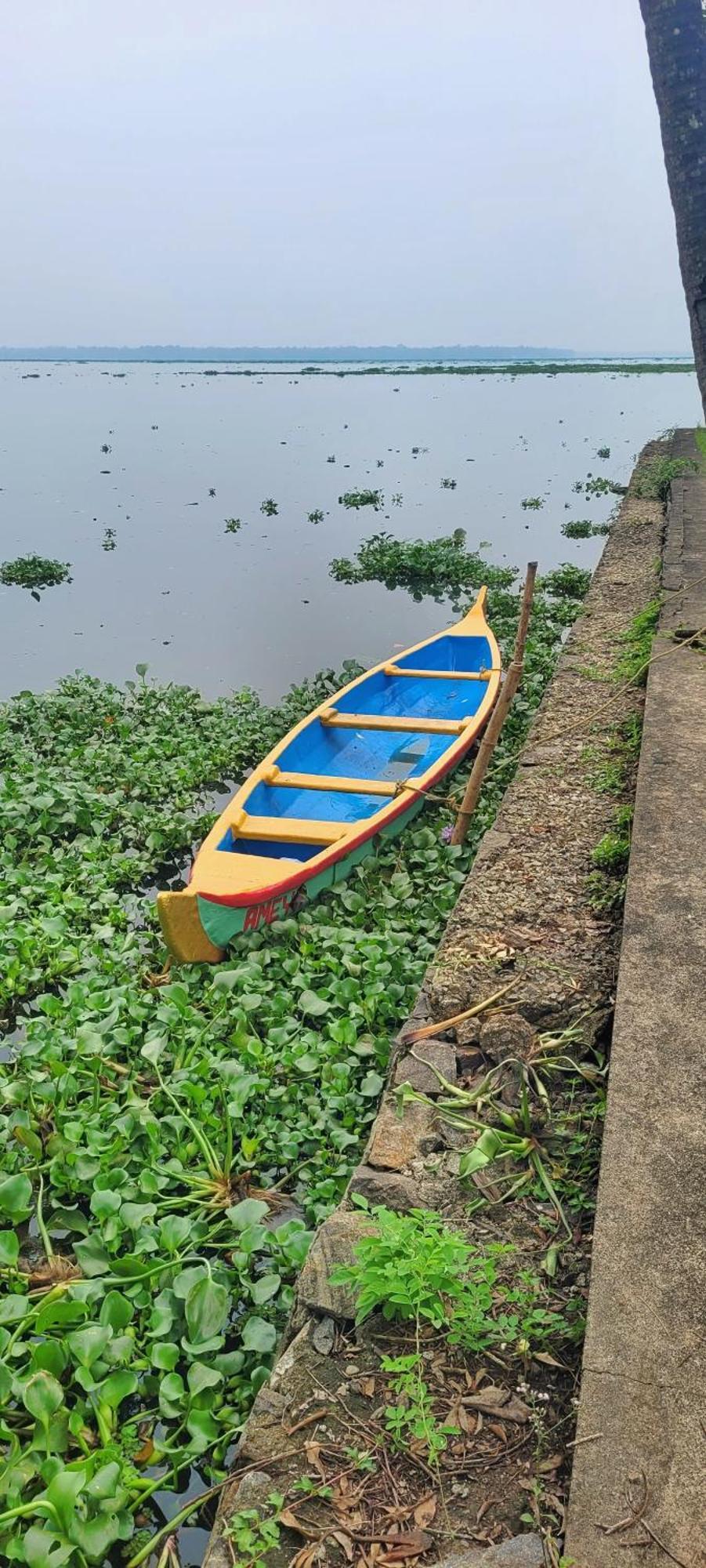Hotel Ameya Kerala à Alappuzha Extérieur photo