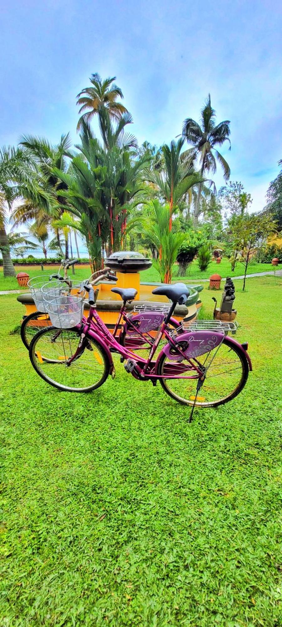 Hotel Ameya Kerala à Alappuzha Extérieur photo